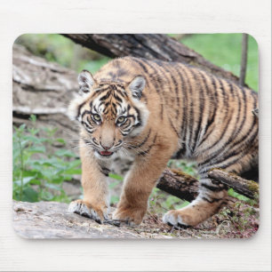 Alfombrilla De Ratón foto de animales de gatos tigres.  panel de mouse