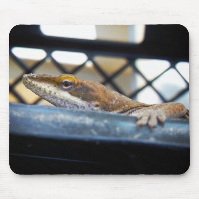 Alfombrilla De Ratón Foto de Anole Lizard verde al sol (Frente)