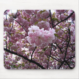 Alfombrilla De Ratón Foto de árbol de flor de cerezo rosa