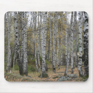 Alfombrilla De Ratón Foto de bosque de abedules en mousepad