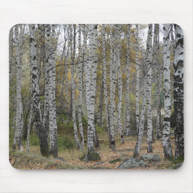 Alfombrilla De Ratón Foto de bosque de abedules en mousepad (Frente)