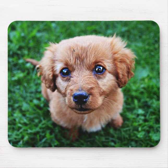 Alfombrilla De Ratón Foto de cachorro adorable (Frente)