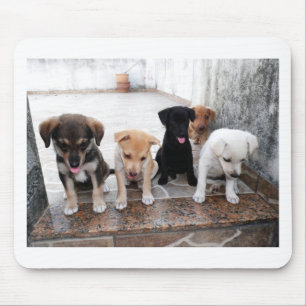 Alfombrilla De Ratón Foto de cachorros súper lindos