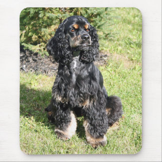 Alfombrilla De Ratón Foto de Cocker Spaniel