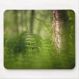 Alfombrilla De Ratón Foto de cola de caballo verde