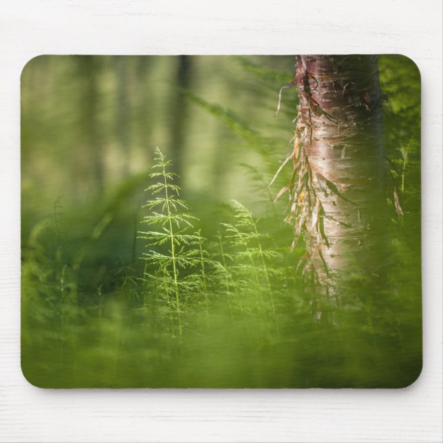 Alfombrilla De Ratón Foto de cola de caballo verde (Frente)