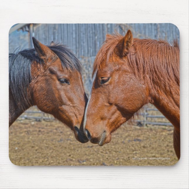 Alfombrilla De Ratón Foto de Equine de Dos Caballos Amantes (Frente)