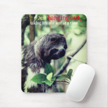 Foto de eslogan en árbol