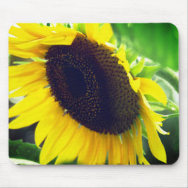 Alfombrilla De Ratón Foto de girasol impresa en un Mousepad