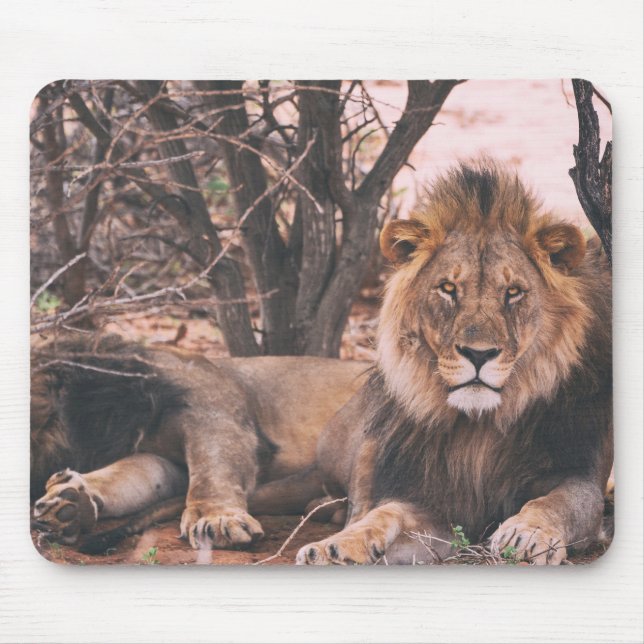 Alfombrilla De Ratón Foto de Guay Lion (Frente)