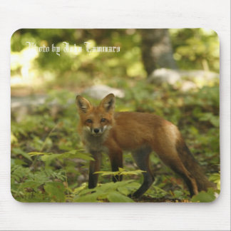 Alfombrilla De Ratón Foto de Juan Tammaro