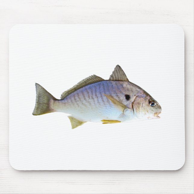 Alfombrilla De Ratón Foto de los pescados del punto (Frente)