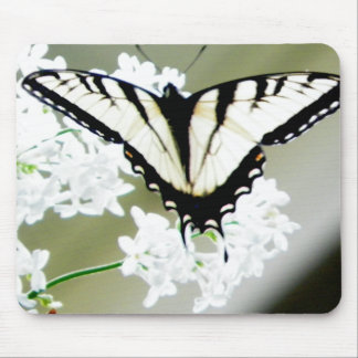 Alfombrilla De Ratón Foto de mariposa de cola Swallowtail de tigre orie