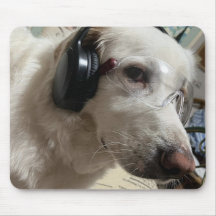 Foto de mascota personalizada 