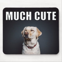 Foto de Mascota personalizado Divertido Estilo Mem