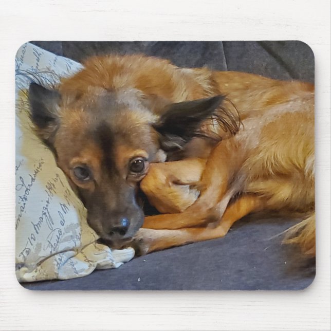 Alfombrilla De Ratón Foto de perro personalizada (Frente)