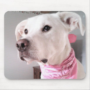 Alfombrilla De Ratón Foto de perro tímido de cachorro blanco con bufand