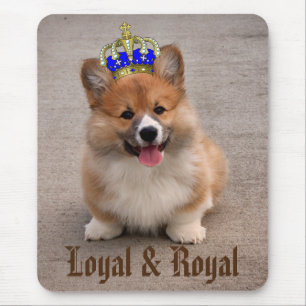 Alfombrilla De Ratón Foto de porras de Corgi real y leal
