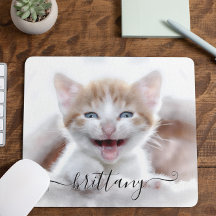 Foto de tu gatito mascota familiar lindo