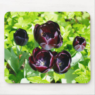 Alfombrilla De Ratón Foto de tulipanes negros malva verde vintage holan
