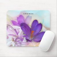 Foto de un crocus de Primavera Púrpura de Bonito