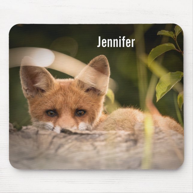 Alfombrilla De Ratón Foto de un Pequeño Naranja Fox (Frente)