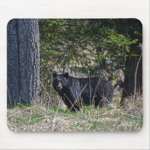 Alfombrilla De Ratón Foto de vida salvaje del oso negro brillante