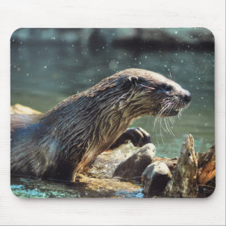 Alfombrilla De Ratón Foto de vida silvestre de River Otter