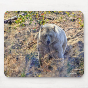 Alfombrilla De Ratón Foto de vida silvestre Rare Kermode Bear (oso espi