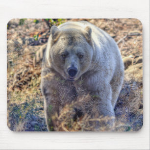 Alfombrilla De Ratón Foto de vida silvestre Rare Kermode Bear (oso espi