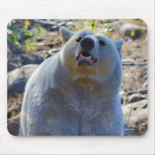 Alfombrilla De Ratón Foto de vida silvestre Rare Kermode Bear (oso espi