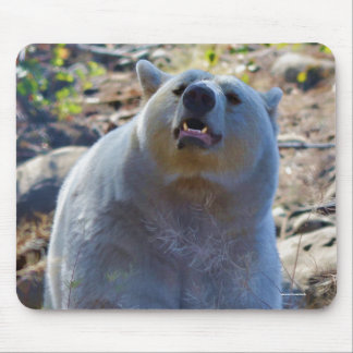 Alfombrilla De Ratón Foto de vida silvestre Rare Kermode Bear (oso espi