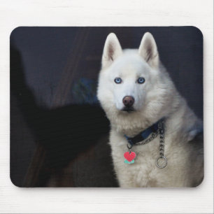 Alfombrilla De Ratón Foto del husky siberiano