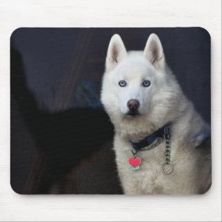 Alfombrilla De Ratón Foto del husky siberiano
