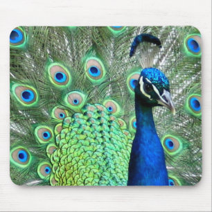 ALFOMBRILLA DE RATÓN FOTO DEL PEAFOWL DEL PAVO REAL