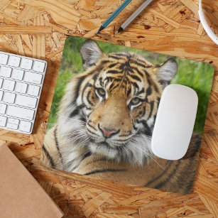 Alfombrilla De Ratón Foto del tigre del gato grande de Sumatra