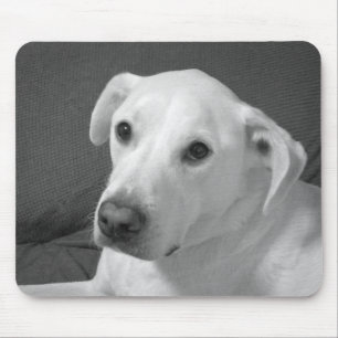 Alfombrilla De Ratón Foto en blanco y negro de un hermoso perro con alm