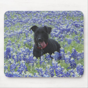 Alfombrilla De Ratón Foto linda del perro de perrito del campo de los