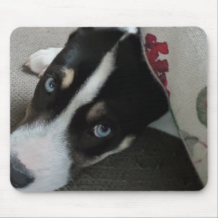 Alfombrilla De Ratón Foto personalizada de cachorros 