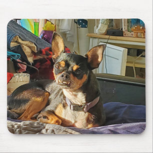 Alfombrilla De Ratón Foto personalizada de perro Chihuahua