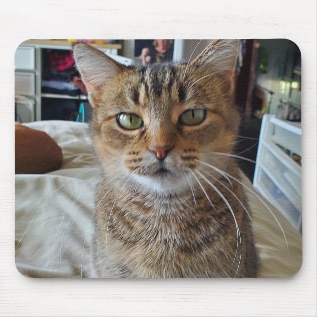 Alfombrilla De Ratón Foto personalizada del gato del Mascota Kitten (Frente)