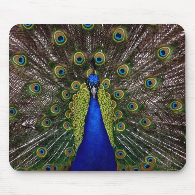Alfombrilla De Ratón Foto real brillante del animal de la pluma de (Frente)