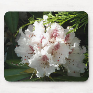 Alfombrilla De Ratón Foto rosada del rododendro