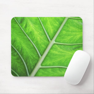 Alfombrilla De Ratón Foto verde tropical Mousepad de la naturaleza de