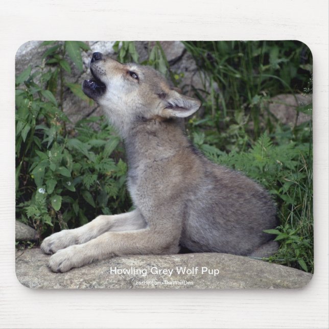 Alfombrilla De Ratón Fotografía animal partidaria de Gray Wolf Wildlife (Frente)