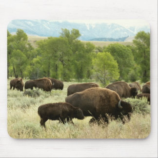 Alfombrilla De Ratón Fotografía de animales de la naturaleza de Wyoming