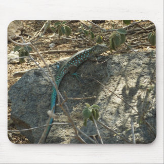 Alfombrilla De Ratón Fotografía de animales tropicales del lagarto cola