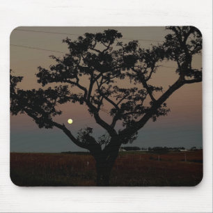Alfombrilla De Ratón Fotografía de árbol atardecer pared Naturaleza