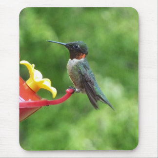 Alfombrilla De Ratón Fotografía de aves de colibrí de garganta rubí