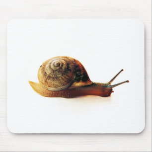 Alfombrilla De Ratón Fotografía de caracol de jardín en la naturaleza